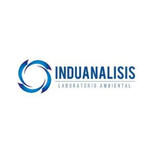 LOGO INDUANALISIS